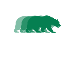 APEX