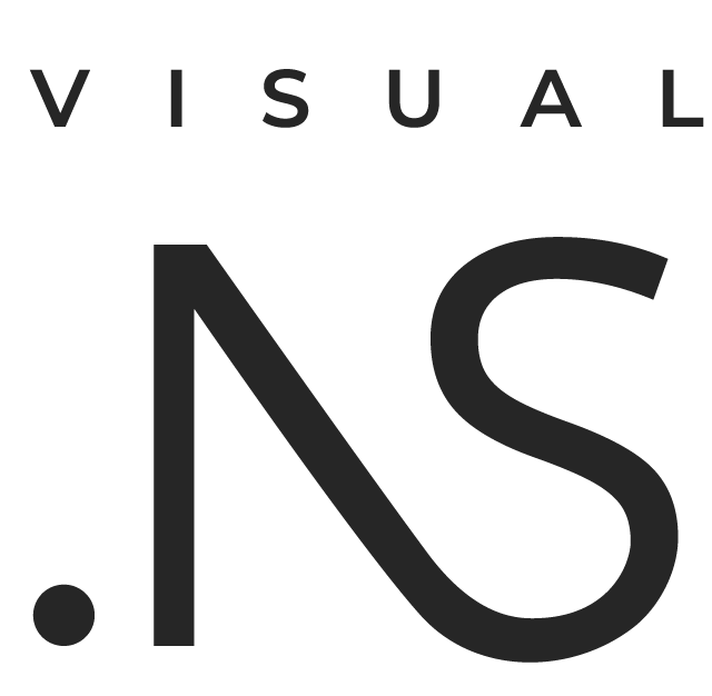 Visual NS